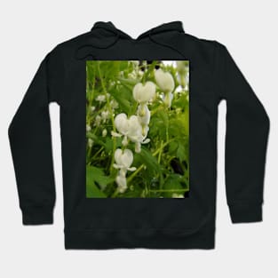 white bleeding hearts #4 Hoodie